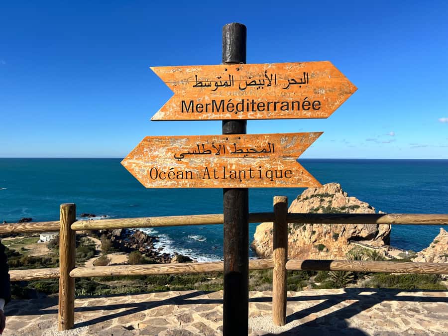 From Tarifa: Tangier Day Trip with Lunch and Ferry - Why this Tarifa to Tangier trip works