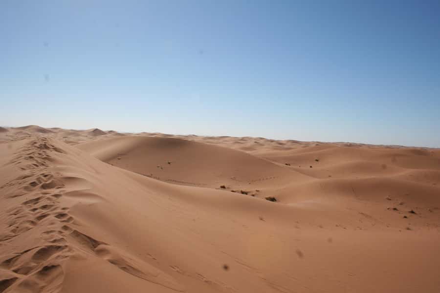 From Zagora: 2-Day Desert Tour to Erg Chegaga - Along the palms toward Mhamid