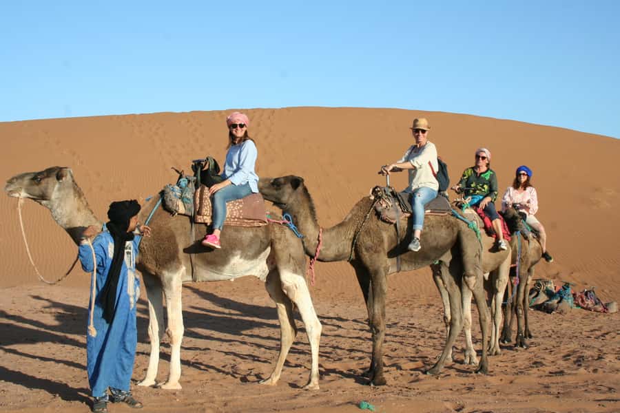 From Zagora: 2-Day Desert Tour to Erg Chegaga - Trading the 4WD for camels
