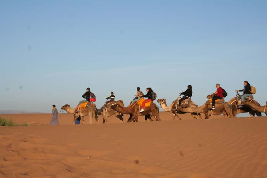 From Zagora: 2-Day Desert Tour to Erg Chegaga - The guides can make or break the long drive