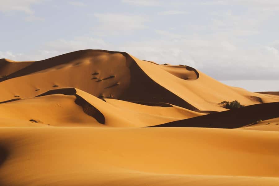 From Zagora: Overnight Desert Tour to Erg Chigaga Camel ride - Why Erg Chigaga feels different from a quick desert stop