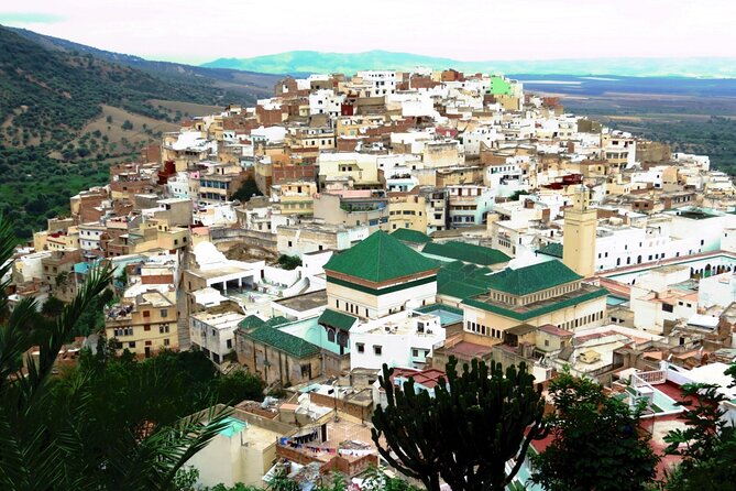 Full-day Historical Meknes Volubilis and Moulay Idriss Tour - Key points to know before booking