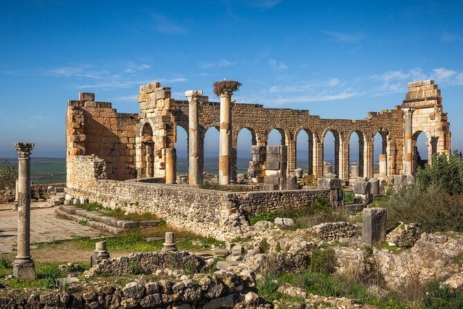 Full-day Historical Meknes Volubilis and Moulay Idriss Tour - Transport, group size, and the value of the day