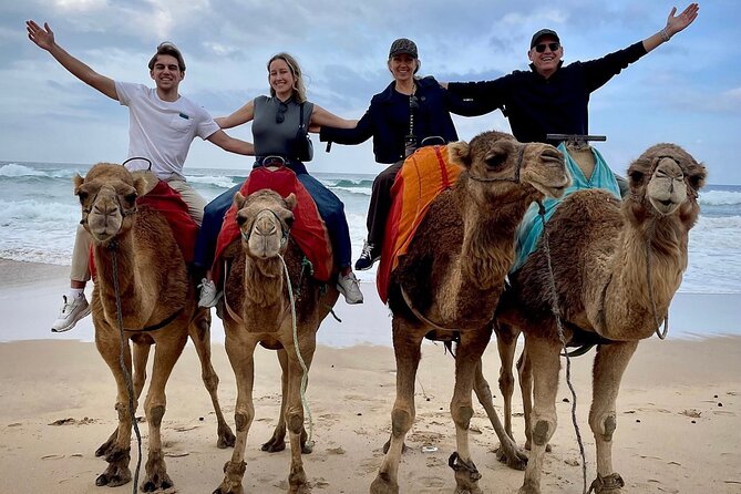 Full-Day Private Guided Tour in Tangier - Achakar and the camel ride on the beach
