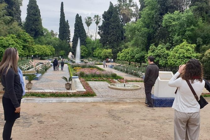 Full-Day Private Tour of Fez - Cherratine Medersa and the Final Stops