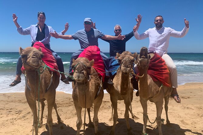 Full Day Private Tour of Tangier - Mendoubia Garden, the American Legation, and a synagogue