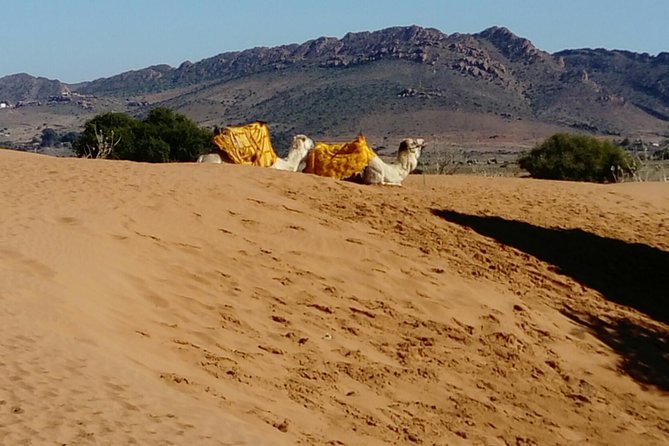Full-Day Safari Small Desert With Lunch - Lunch in a Berber home