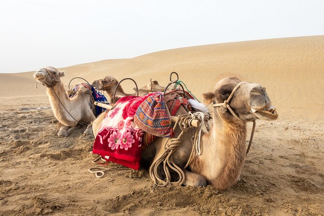 Full Day Tour to Desert Trip in Agadir with Lunch - A full day south from Agadir