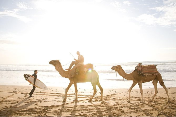 Full-Day Tour to Essaouira - The Ancient Mogador City from Marrakech - The return to Marrakech