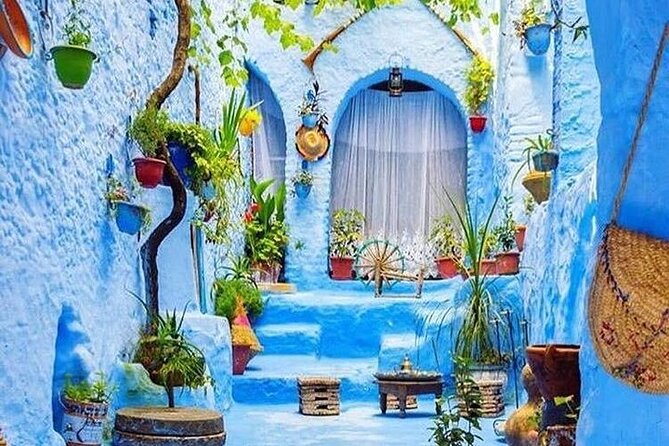 Full-Day Tour to the Blue City Chefchaouen on Small-Group - Key points to know before booking