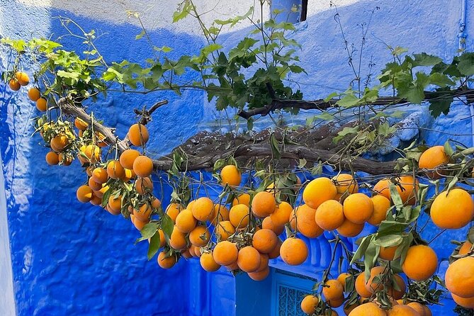 Full-Day Tour to the Blue City Chefchaouen on Small-Group - Plaza Uta el-Hammam, the kasbah, and the old center