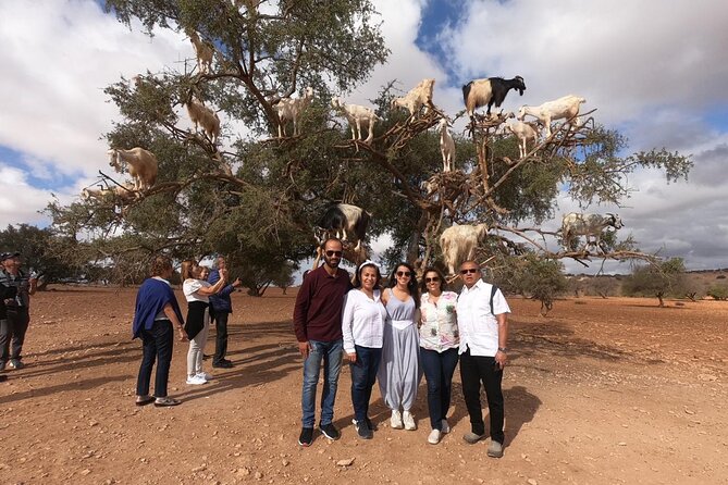 Full Day Trip To Essaouira city - Departure From Marrakech - Entering Essaouira through the port and medina