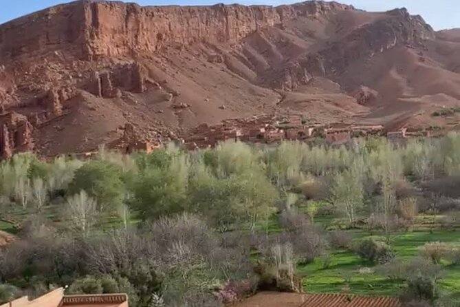 Full Day Trip to Ouarzazate and Ait Benhaddou from Marrakech - Tea with a family and lunch above the ksar