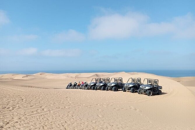 Fun buggies in Agadir Forest and Beach Dunes - From Agadir to the Atlantic dunes