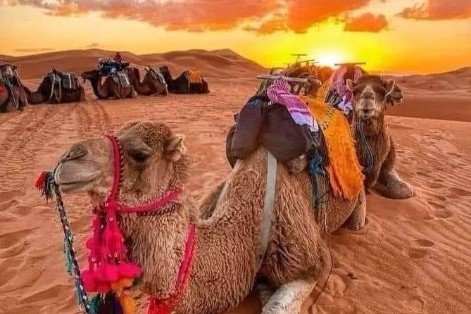 GROUP TOUR - 1 night 2 Day LUXURY Desert TRIP from FES to FES - The Fez to Merzouga road is part of the experience