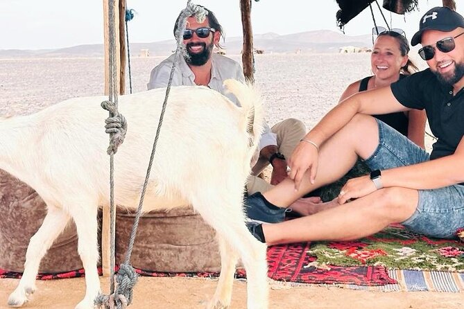 GROUP TOUR - 1 night 2 Day LUXURY Desert TRIP from FES to FES - Merzouga changes the pace