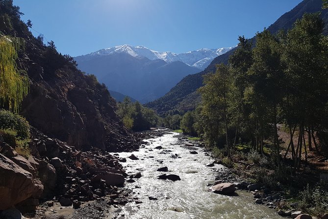 Half-Day Atlas Mountains Tour From Marrakech - What the seven waterfalls are really like