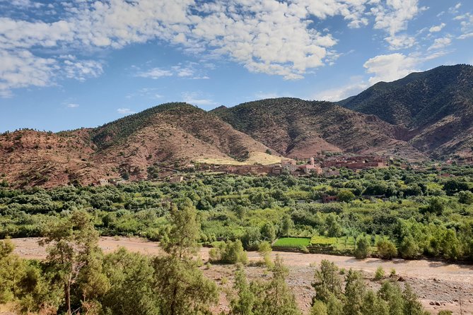 Half-Day Atlas Mountains Tour From Marrakech - Breakfast at the argan oil cooperative