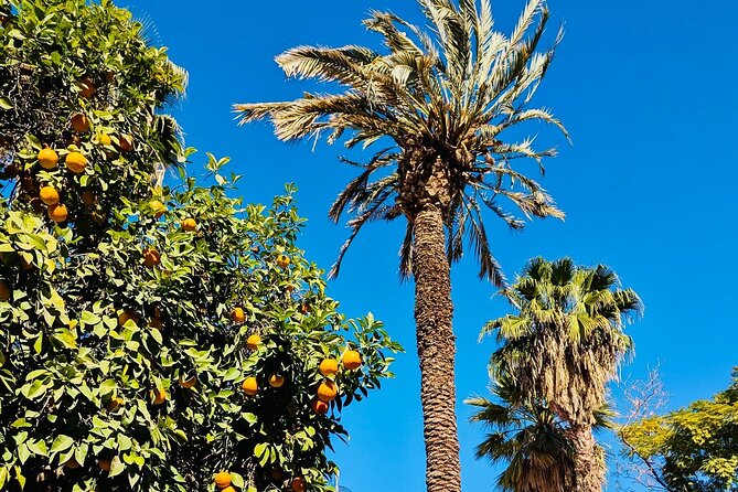 Half Day Guided Tour in Marrakech History & Culture - The carpet souk and the art of bargaining