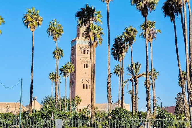 Half Day Guided Tour in Marrakech History & Culture - Meeting at Jemaa el-Fnaa