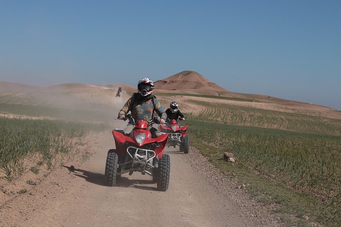 Half-day quad bike in the palmgrove & rock desert - Mint tea at a traditional Berber house