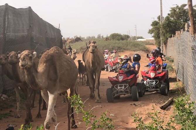 Half Day Quad in Agadir - Safety instruction before you touch the throttle