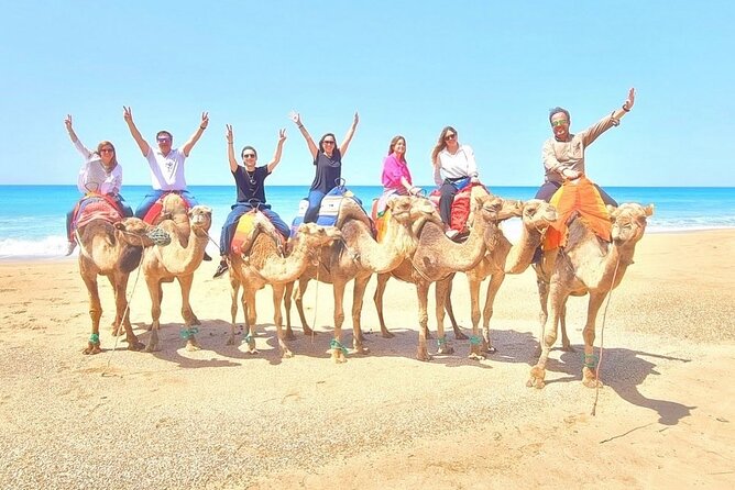 Half-Day Tangier Private Tour & Camel Ride & Colorful Markets - Two hours in the medina, Petite Socco, and the markets
