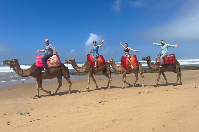 Half-Day Tangier Private Tour & Camel Ride & Colorful Markets - The American Legation Museum