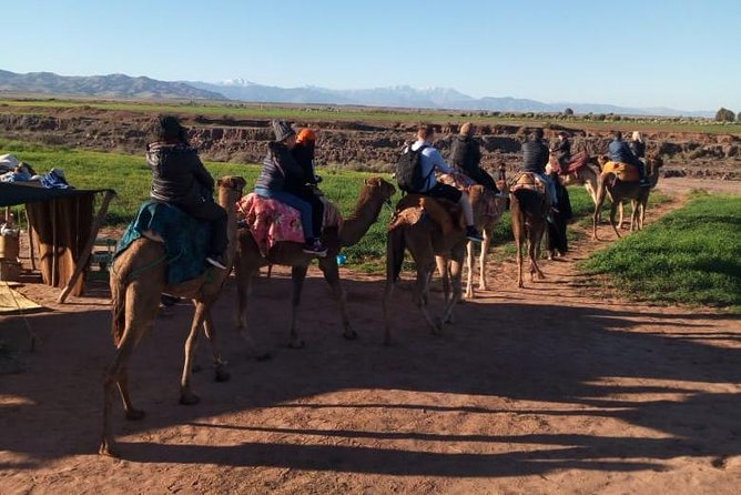 High Atlas Mountains Day Trip and Camel Trek - How much value do you get for $33.82?
