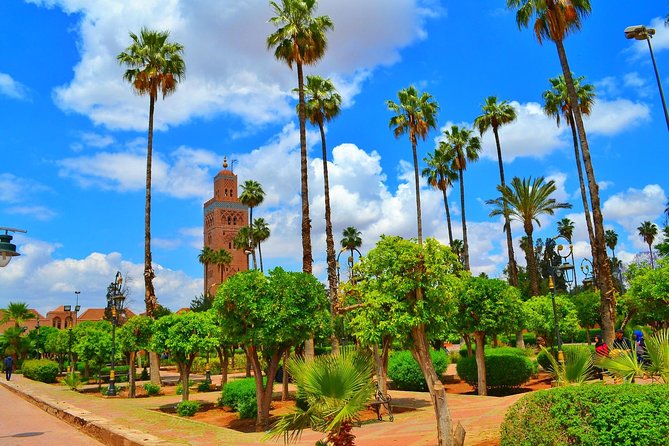 Highlights of Marrakech: Private Half-Day City Tour - The medina, from leather workshops to handwoven rugs
