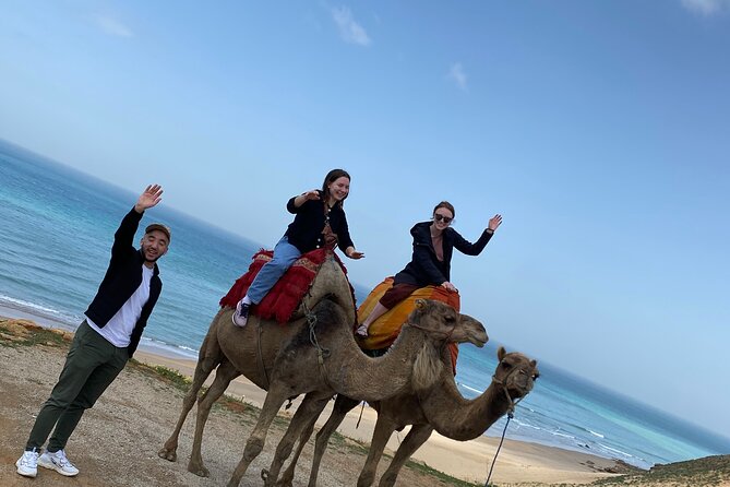 Highlights of Tangier Half Day Tour Include Lunch - The Hercules Caves and the important admission question
