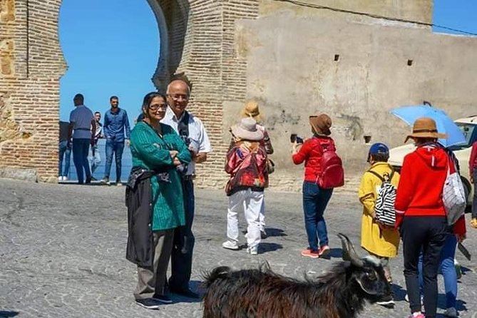 Highlights of Tangier Half Day Tour Include Lunch - The Kasbah and the former royal palace