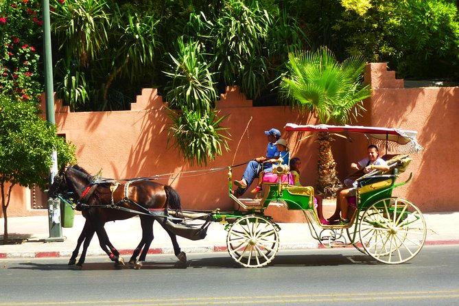 Horse and Carriage Ride with Majorelle Garden - Timing, crowds, and small practical choices