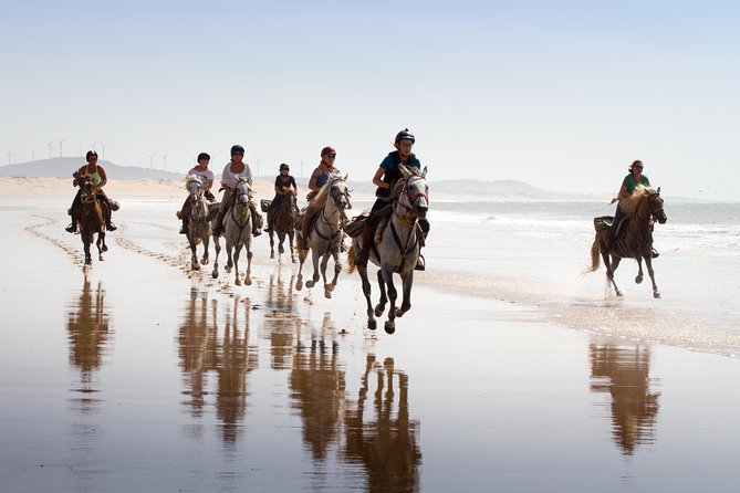 Horse Ride on the Beach in Essaouira - Key points before you saddle up