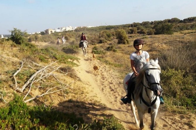 Horse Ride on the Beach in Essaouira - From Essaouira’s medina to the stables