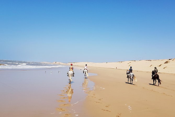 Horse Ride on the Beach in Essaouira - Through Essaouira’s dry forest