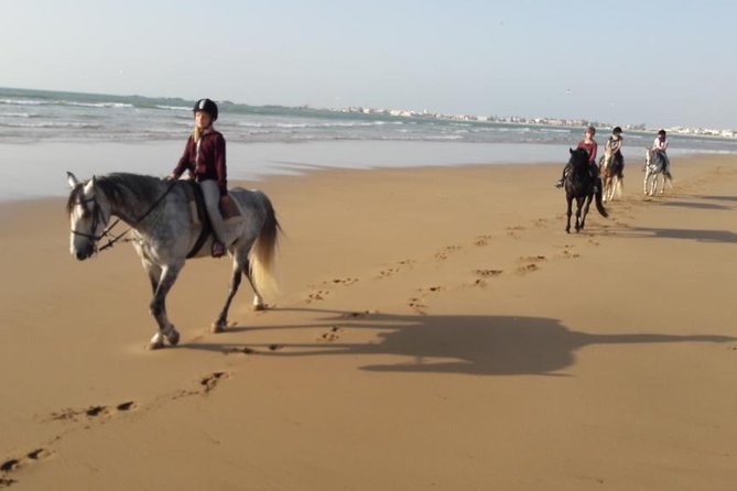 Horse Ride on the Beach in Essaouira - Crossing the wild dunes to the coast