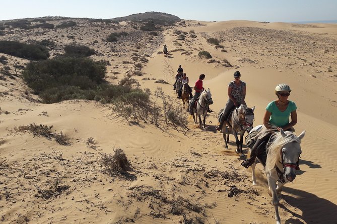 Horse Ride on the Beach in Essaouira - What the private format changes