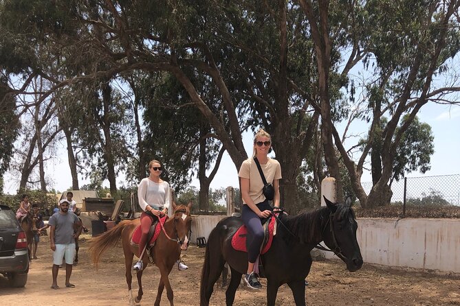 Horse Riding Agadir - How the ride suits beginners and experienced riders
