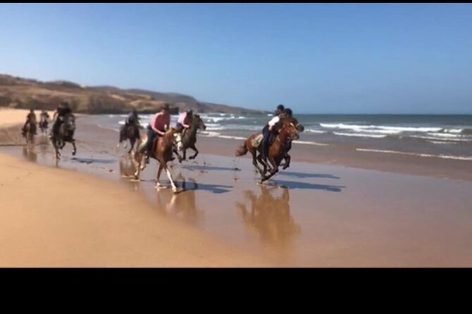 Horse Riding Agadir - Wildlife along the river