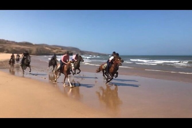 Horse Riding Agadir - Pickup, group size, and practical planning