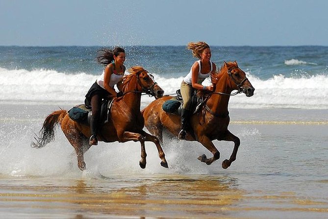Horse Riding Agadir - From the river to the sandy beach