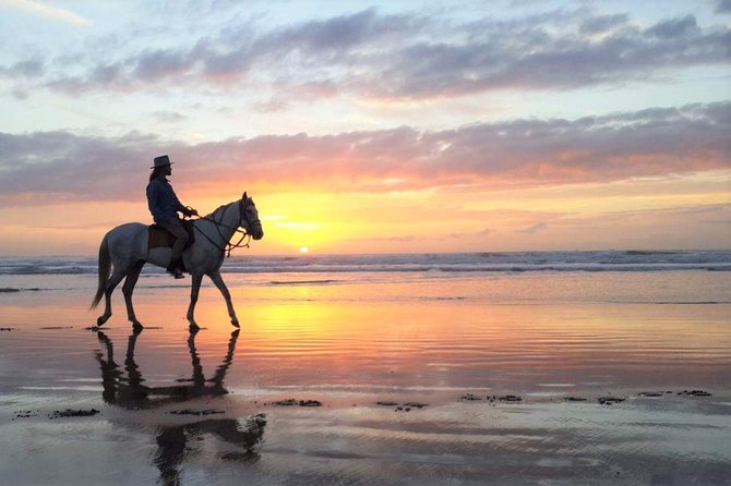 Horse riding at sunset for 2 hours - Key points to know before you ride