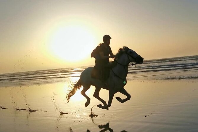 Horse riding on the beach of Essaouira 2 hours - Key points to know before booking