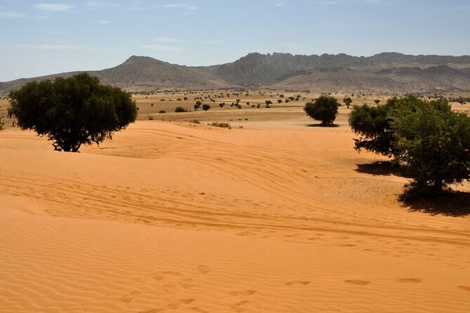 Jeep 4x4 Safari Atlantic Ocean & Desert Dunes with Berber Lunch - Key points to know before booking
