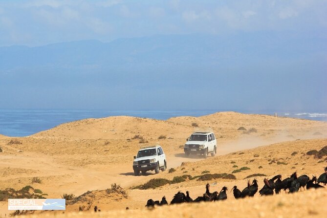 Jeep 4x4 Safari Desert Dunes & Atlantic Ocean with Berber Lunch - Sidi R’bat and the fishing caves