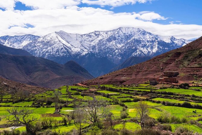 Lunch in the High Atlas: Ourika Valley Waterfalls & 3 Valleys - The camel ride at sunset