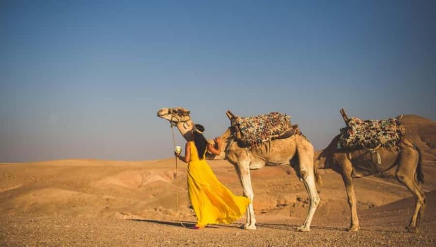 Lunch & Swimming Camel Ride and Quad Biking in Agafay - Leaving Marrakech by Included Transport