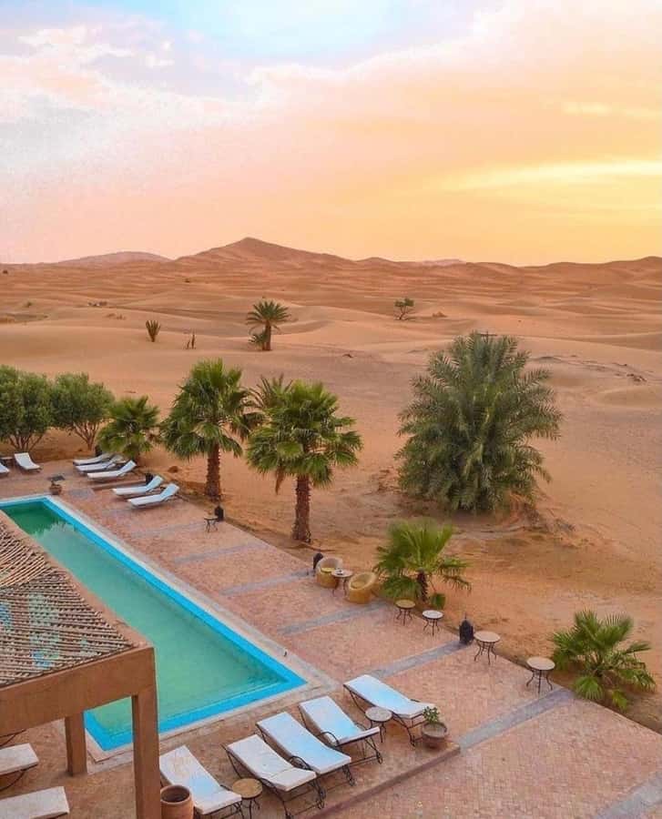 Lunch & Swimming Camel Ride and Quad Biking in Agafay - Moroccan Tea and Berber Camp Atmosphere