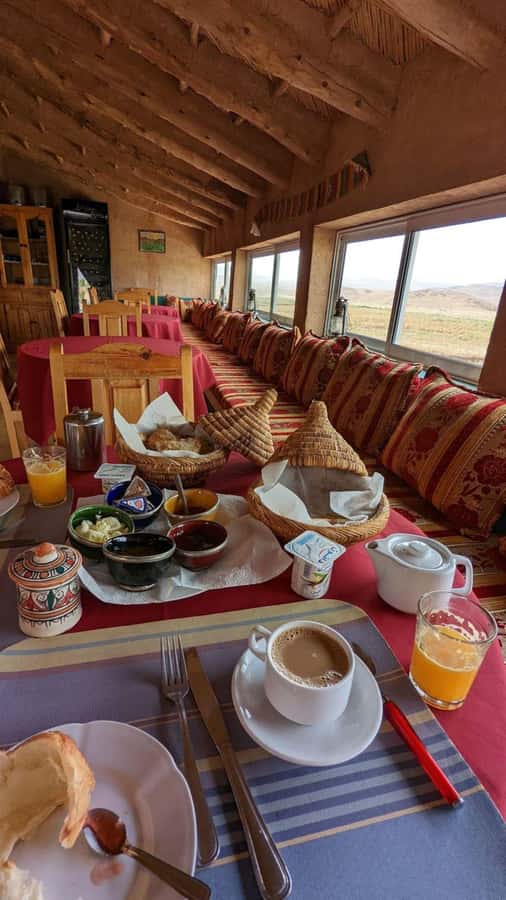 Lunch & Swimming Camel Ride and Quad Biking in Agafay - What $28 Really Buys You